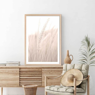 Poster blé poudré Affiche + cadre en bois - Chêne