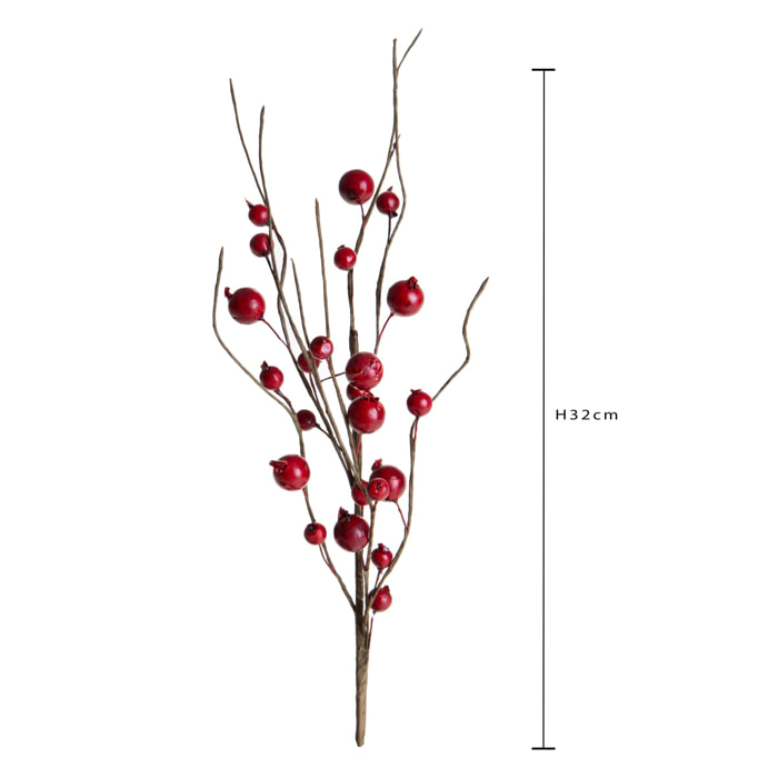 Pick bacche ilex - Pezzi 36 - 8xH32x6cm - Bianchi Dino SpA