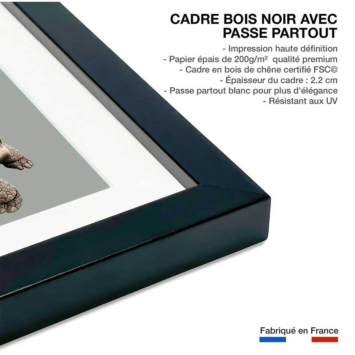 Affiche enfant chat sur une tortue  Affiche sous cadre noir