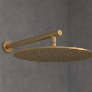 Douche de tête 350 Universal ronde Or brossé