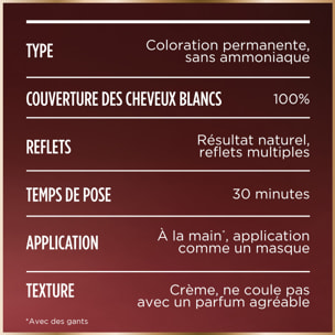 Garnier Good Coloration 6.52 Châtain Acajou Clair Groseille 120 g