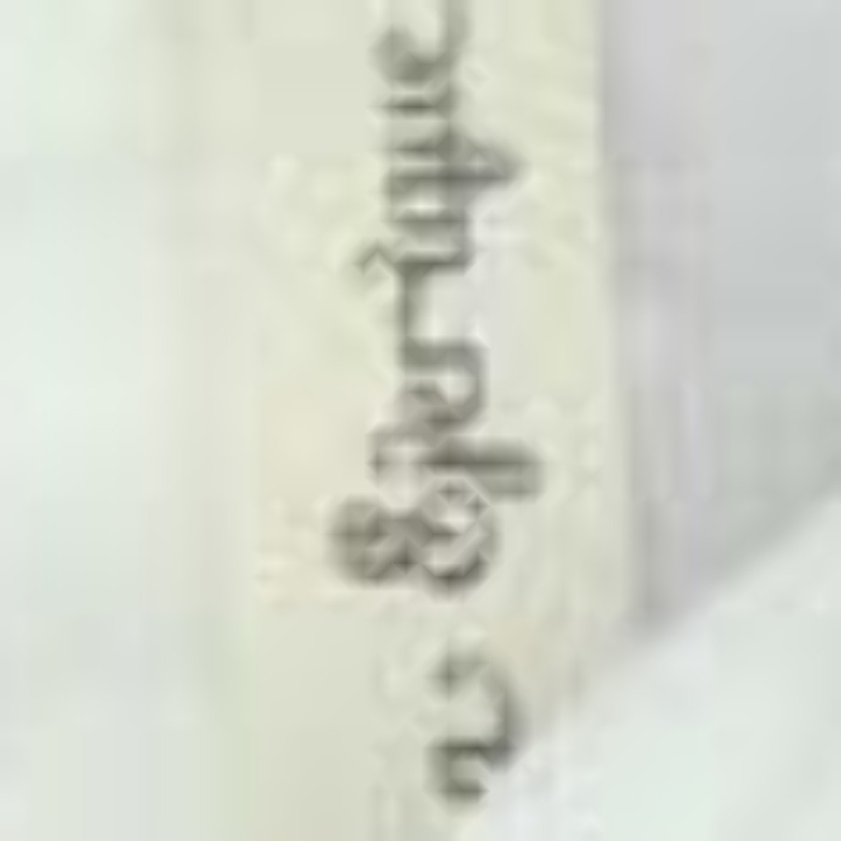 BLUSA PLUMETI BORDADO FLOR BLANCO