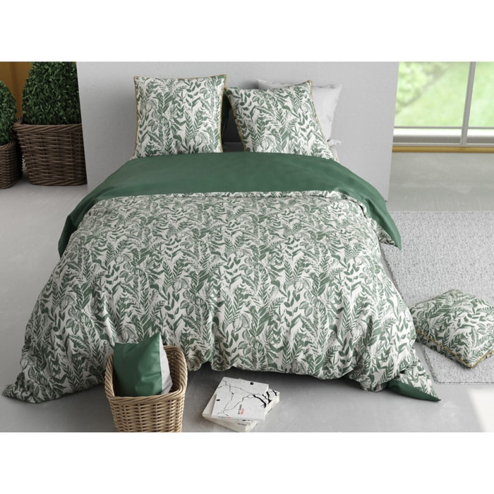 Parure Housse De Couette 3pcs 100% Coton 57 Fils MANGROVE