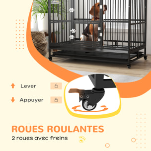 Cage chien grande taille sur roulettes - 2 portes verrouillables, plateau amovible - acier noir