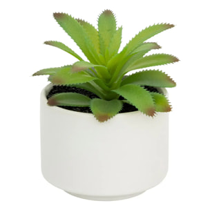 Plante grasse artificielle - pot en céramique - H13 cm