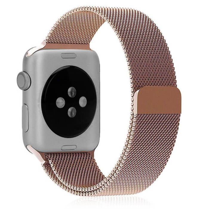 Cinturino in metallo compatibile iWatch 42mm / 44mm