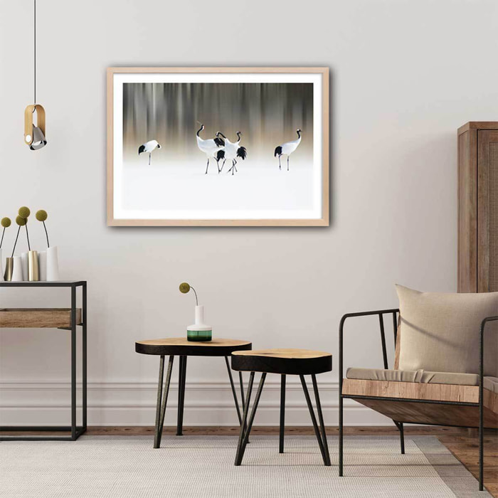 Affiche oiseaux Japanese crane Affiche seule