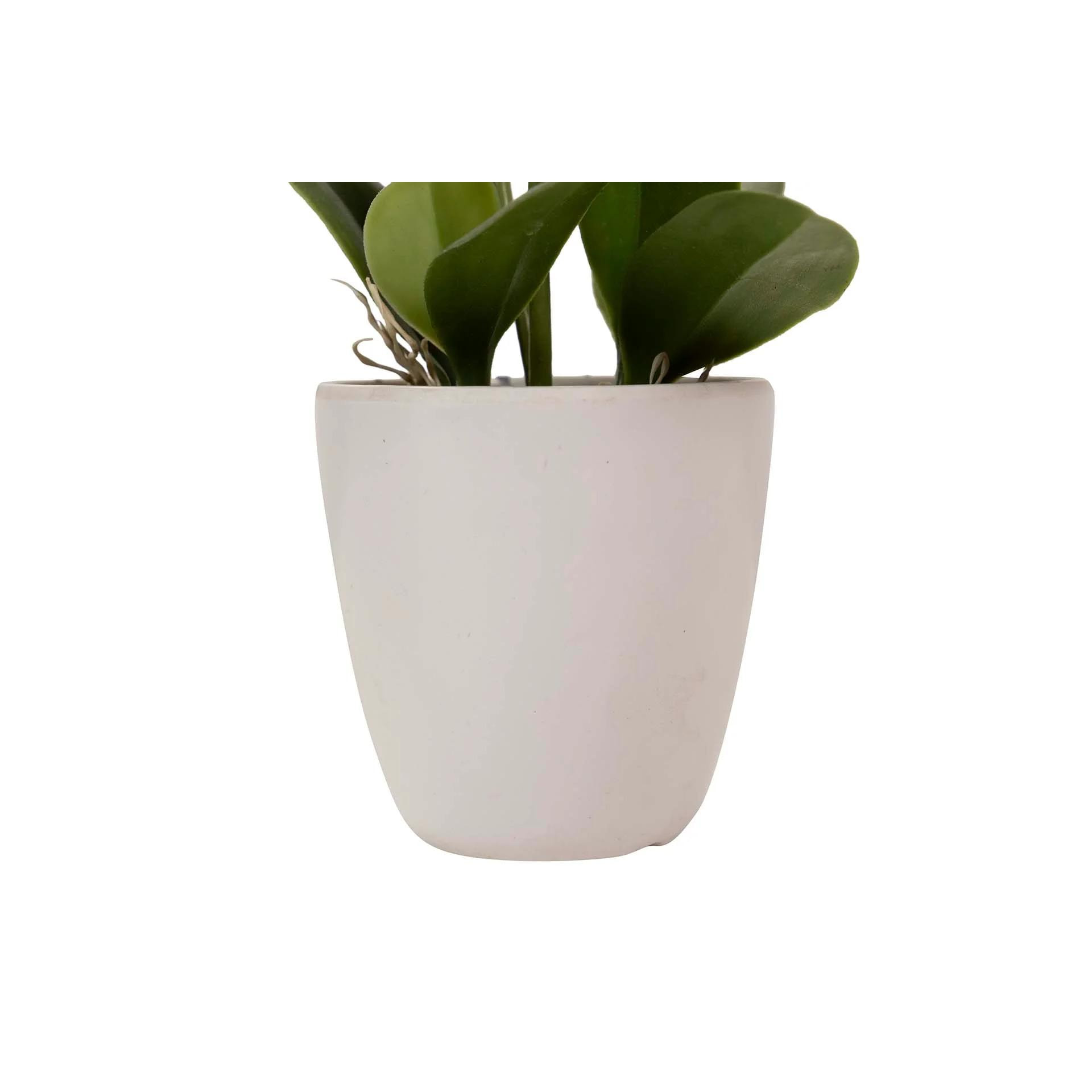 Orquidea Poliester Blanca Con Maceta 20x20x36 Cm