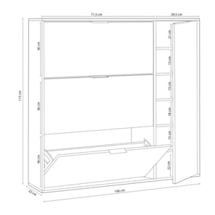 Zapatero Eris 4 Puertas Blanco Artik (Blanco Mate) - Roble Canadian