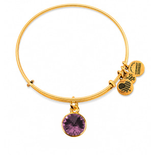 Pulsera Alex And Ani Mujer A12EB245RG
