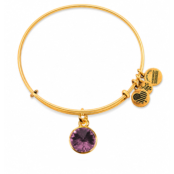 Pulsera Alex And Ani Mujer A12EB245RG