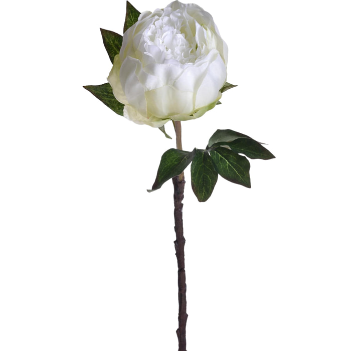 Peonia. Altezza 48 Cm - Pezzi 6 - 14,5X50X14,5cm - Colore: Bianco - Bianchi Dino - Fiori Artificiali