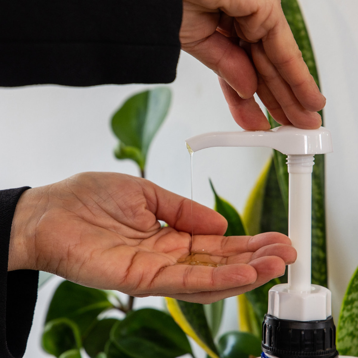 Valquer Champú almendras - 5000 ml