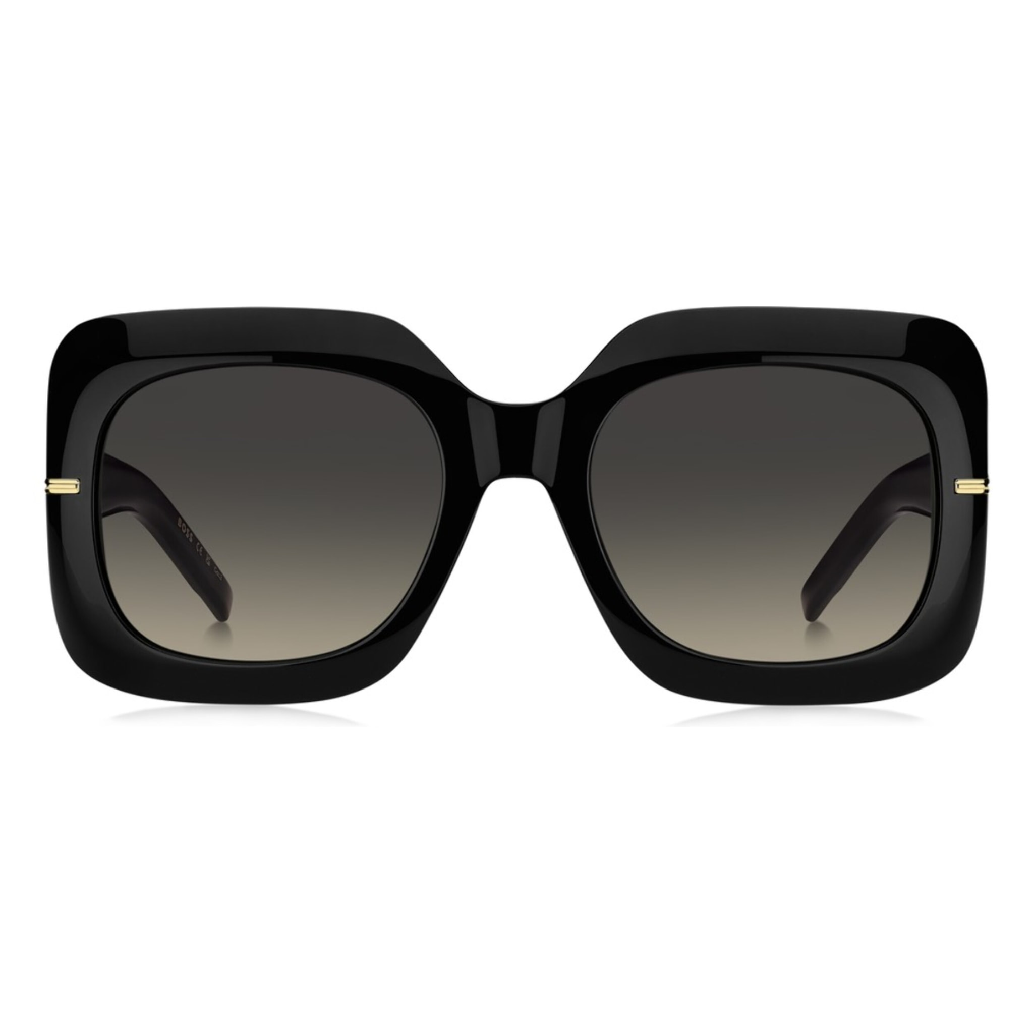 GAFAS DE SOL HUGO BOSS 1730/S 807 PR