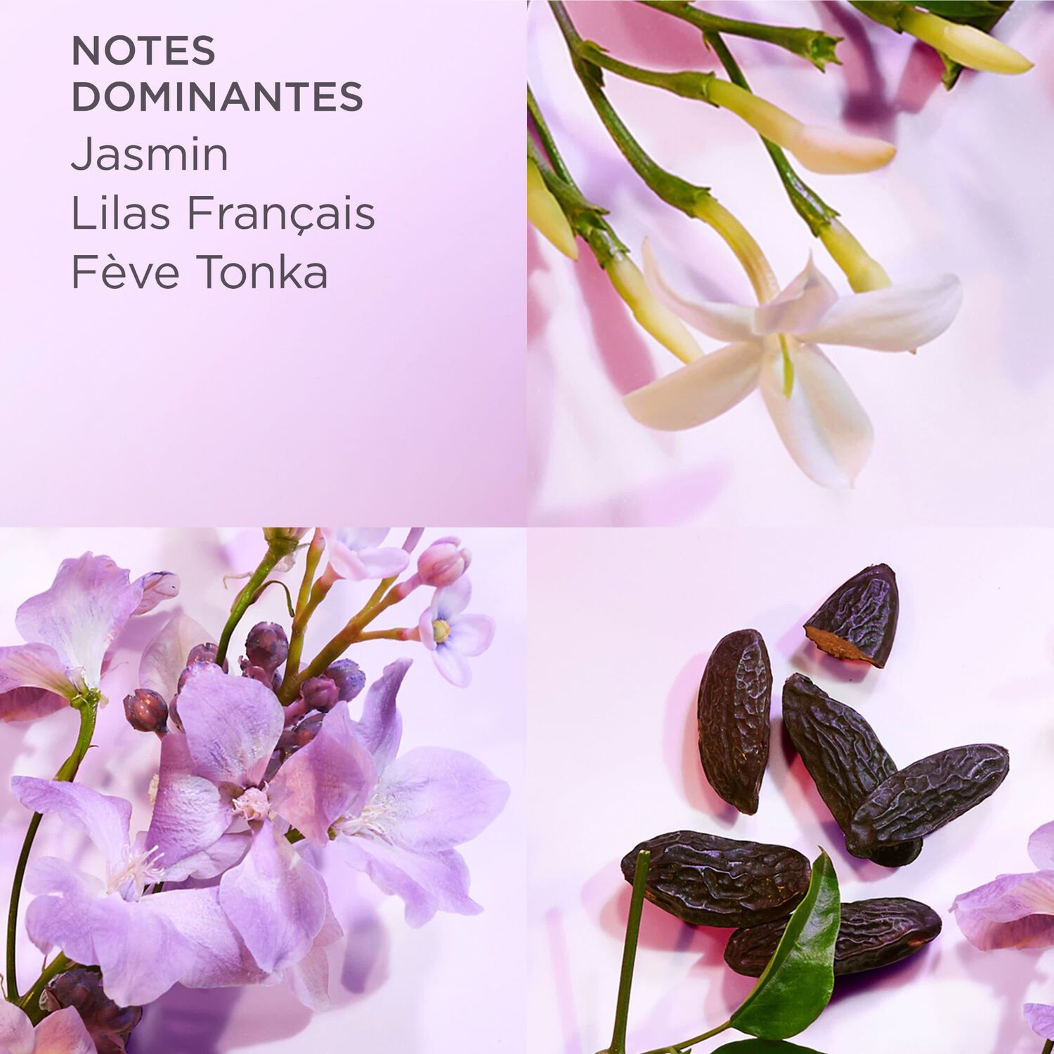 White Tea Eau Lilac - Eau de Toilette
