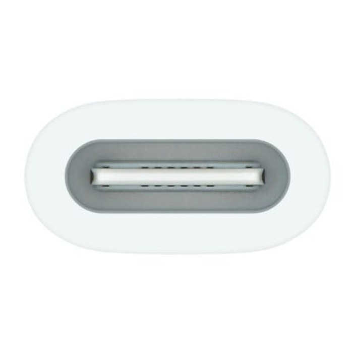 Adaptateur APPLE USB-C pour Pencil