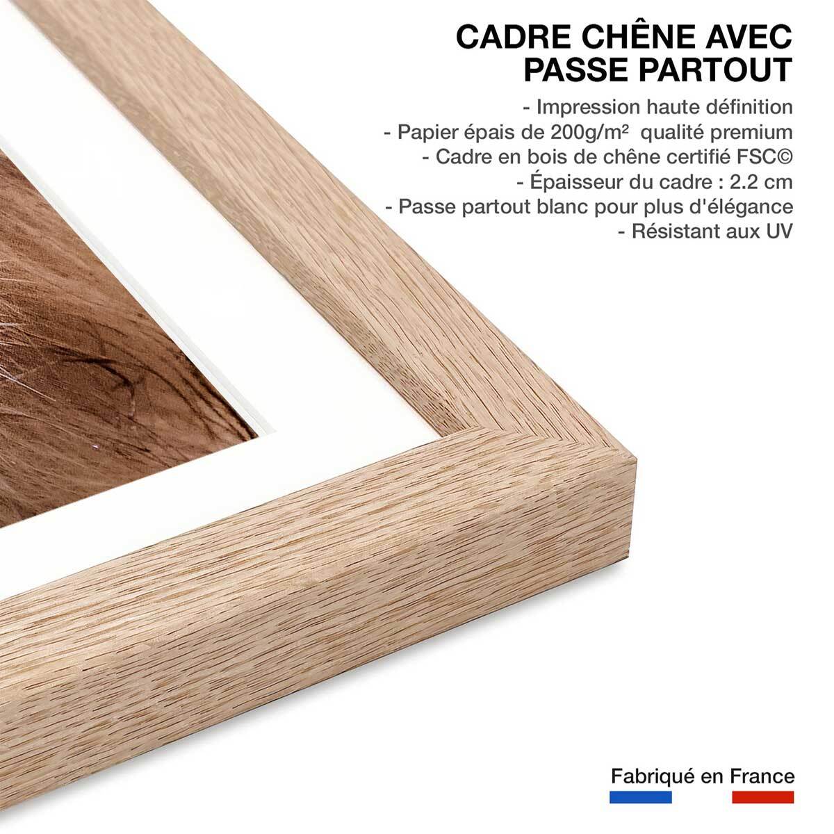 Affiche animaux delice de lion Affiche sous cadre bois