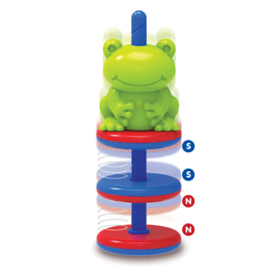 Scienza Magnetica Divertente