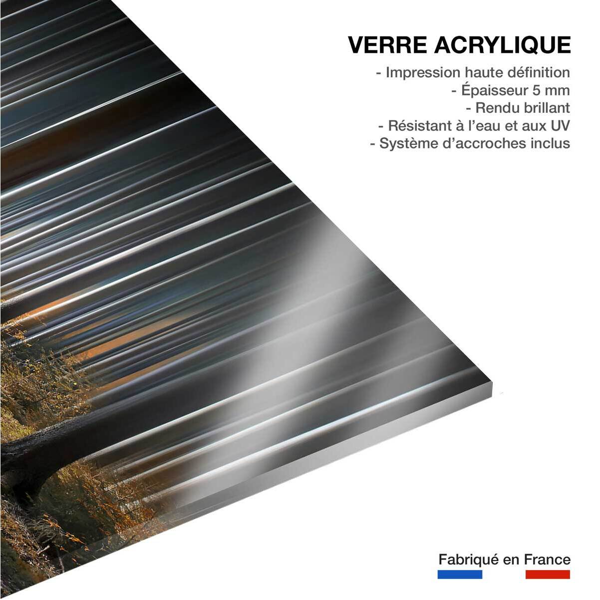 Tableau forêt fantastique Tableau plexiglas