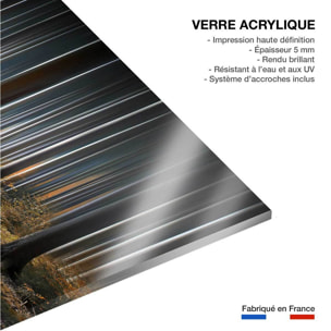 Tableau forêt fantastique Tableau plexiglas