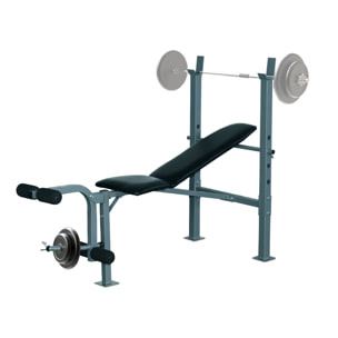 Banco de Pesas Altura Ajustable Banco de Musculación Multifuncional Máquina de Fitness Entrenar Completo con Respaldo Regulable Carga 300 kg 165x68x114 cm