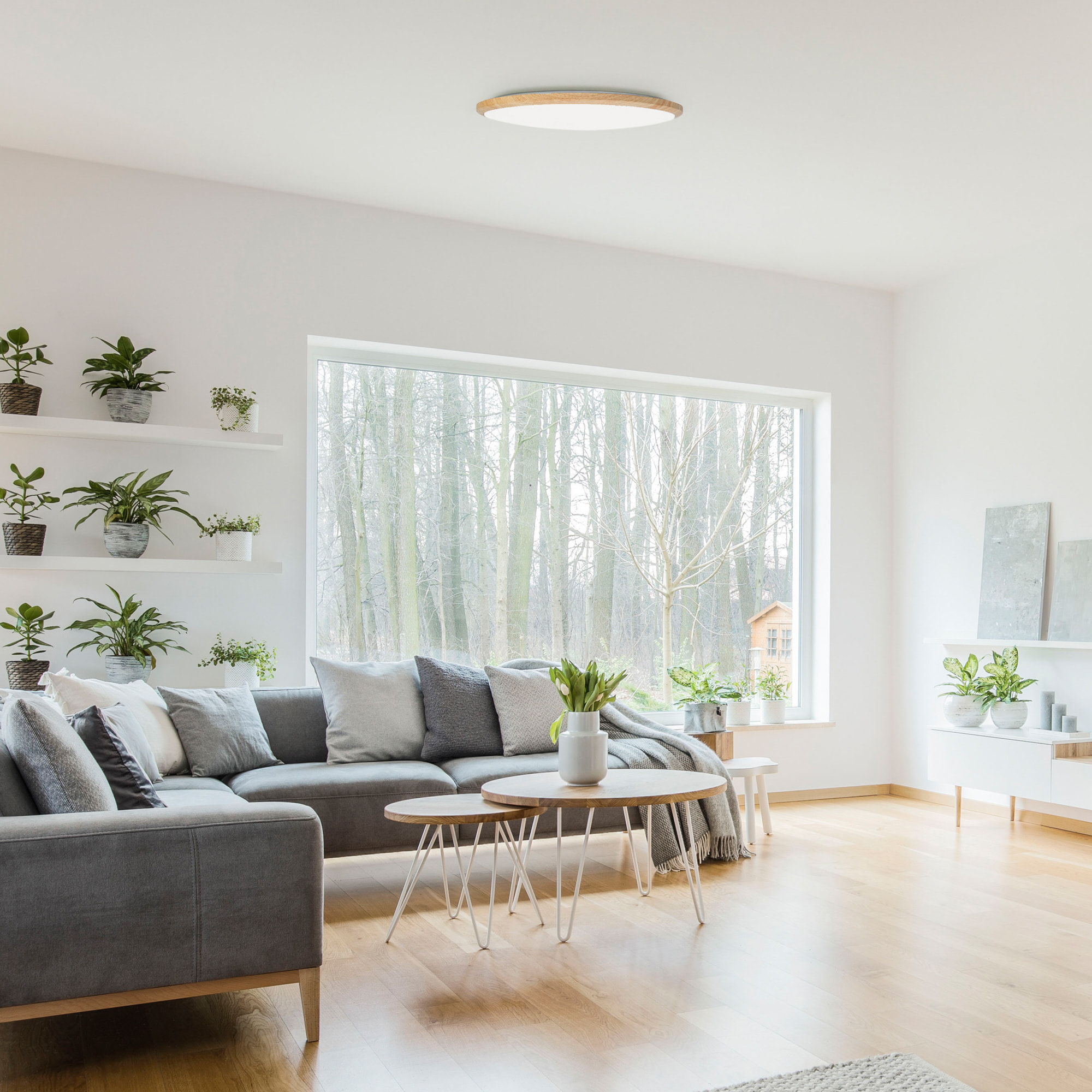 FORLIGHT PLAFÓN IP20 WILLY LED 15.2W BLANCO NEUTRO - 4000K ON-OFF IMITACIÓN MADERA