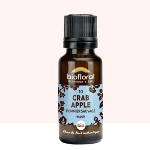 Biofloral - 10 Crab Apple, Pommier Sauvage - Bio - 19,5 gr