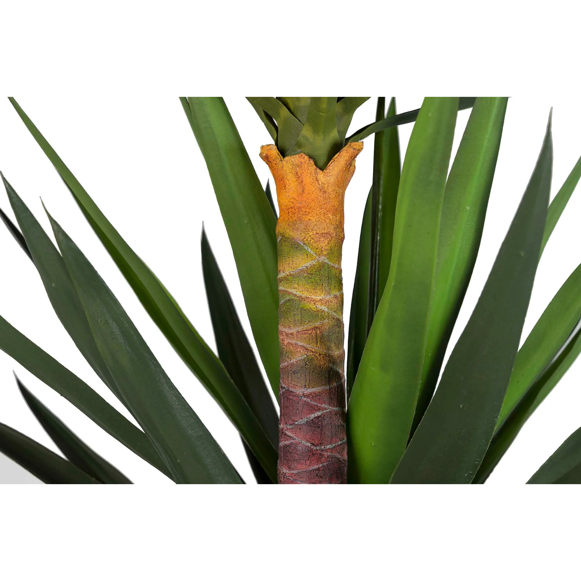 Planta Yucca Con Maceta 70x70x250 Cm