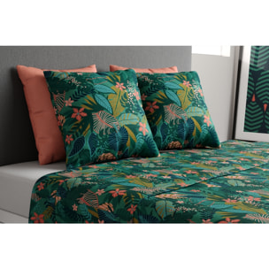 Parure de drap 4pcs Coton Zania