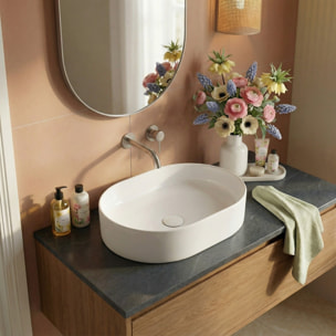 Vasque à poser ovale 50 x 36,5 x 12 cm sans trop-plein blanc mat PixL (CEPX5037WM)