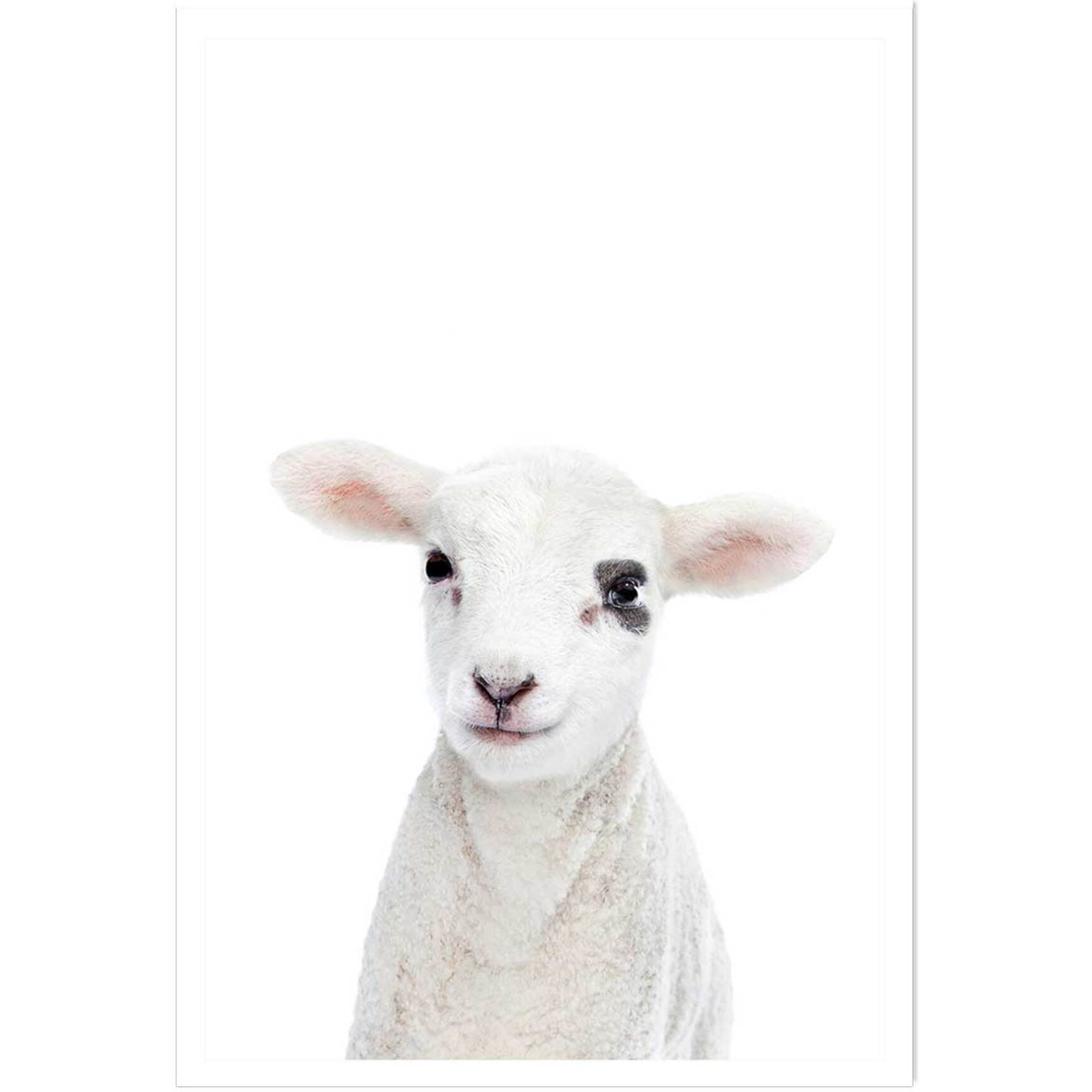 Affiche enfant bébé agneau  Affiche seule