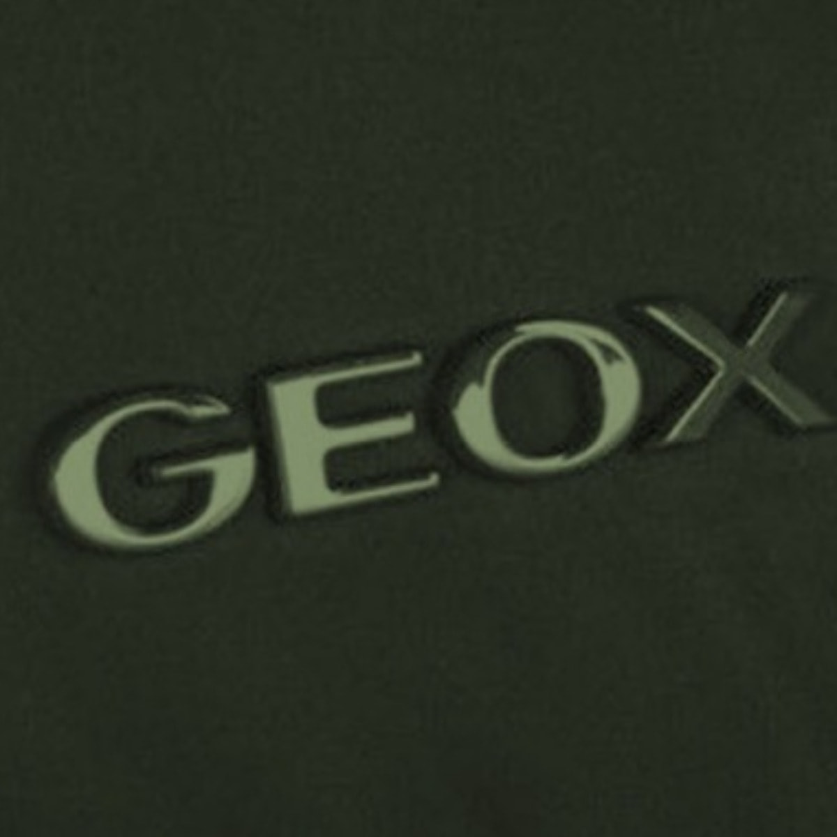 Abrigos Mujer de la marca GEOX  modelo W CATRIA VERDE