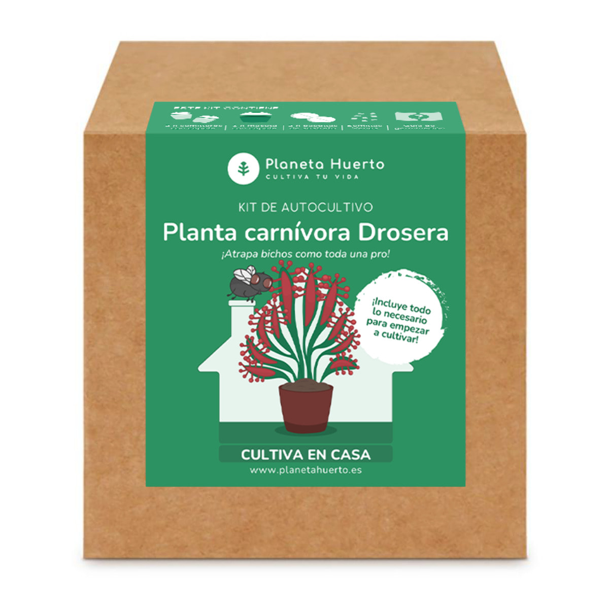 PLANETA HUERTO | Kit de Autocultivo Planta Carnívora Drosera Planeta Huerto – Ideal para Iniciarse en el Cultivo de Plantas Insectívoras