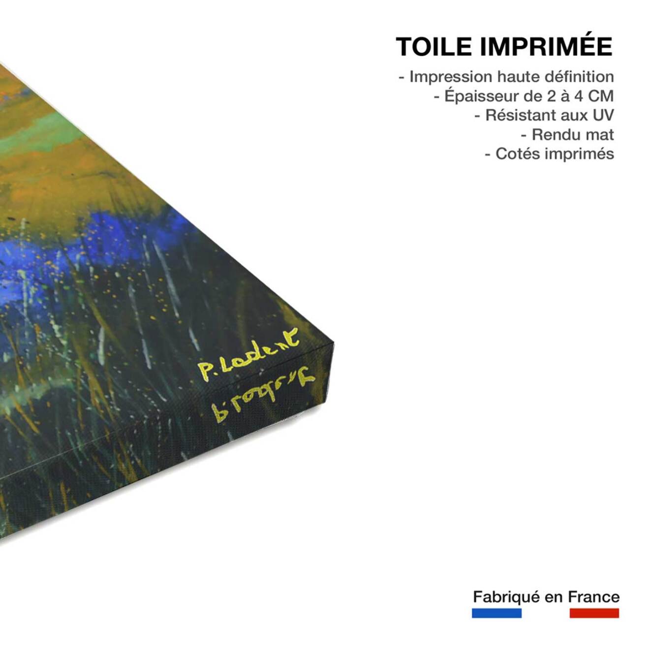 Tableau paysage flaque Toile imprimée