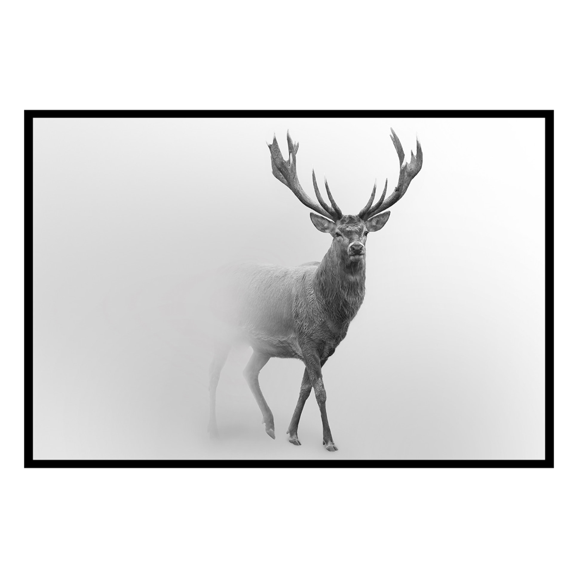 Affiche encadrée cerf en noir et blanc dans la brume Affiche + cadre en métal - Noir