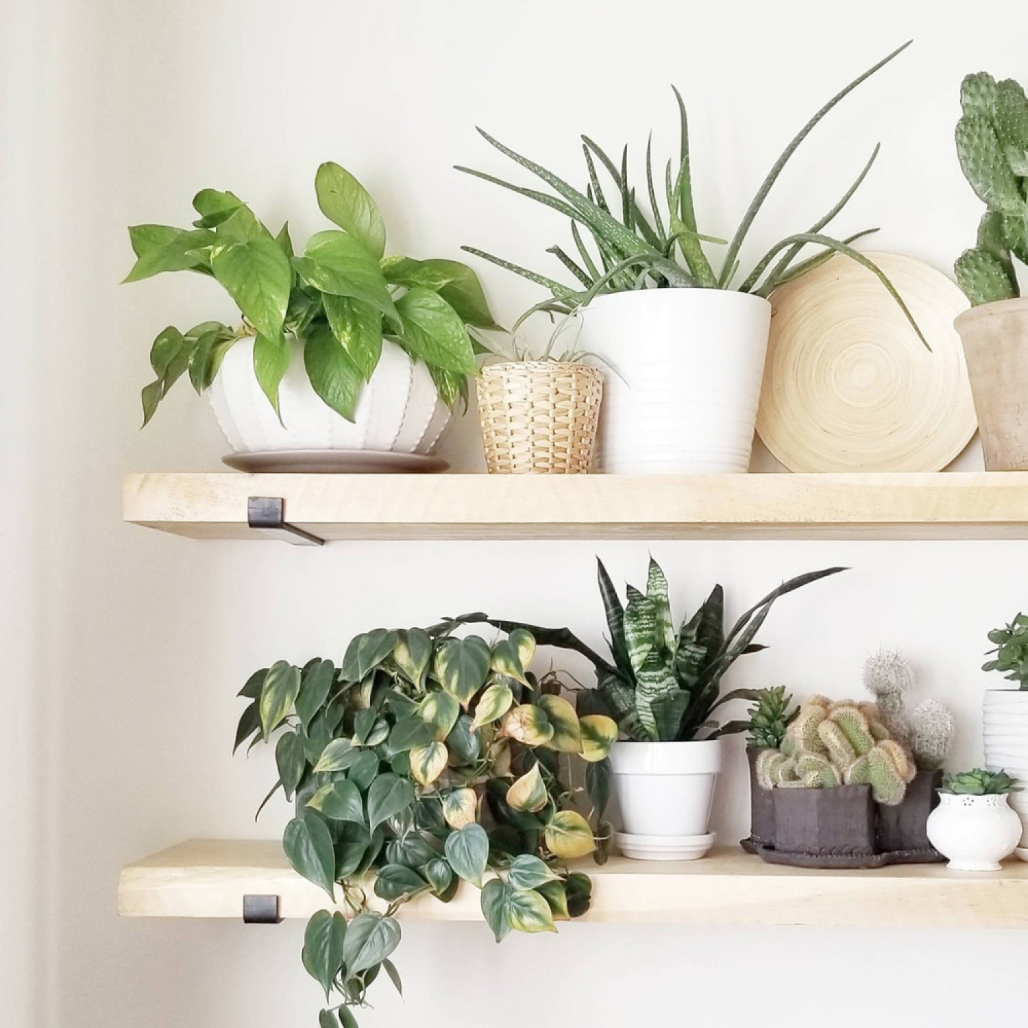 MUSE - Étagère murale en bois d'épicéa et métal - 2 rangements - bois et noir