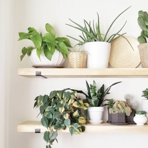 MUSE - Étagère murale en bois d'épicéa et métal - 2 rangements - bois et noir