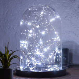 Guirlandes "Anya" 40 microLED à pile argent blanc froid L400cm