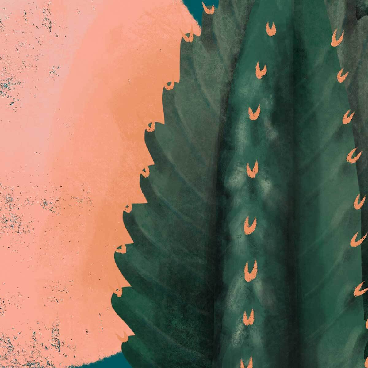 Affiche illustration cactus et soleil rose Affiche + cadre en bois - Noir