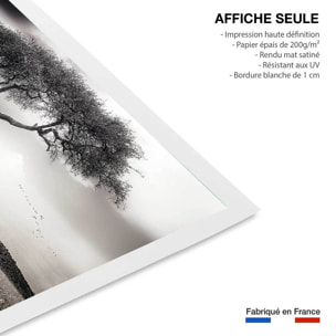 Affiche animaux sous le soleil d' afrique Affiche seule