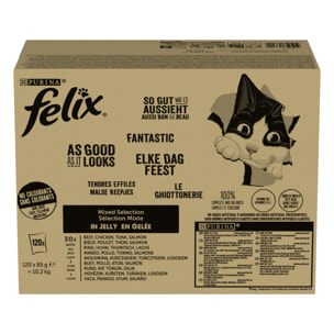 FELIX Tendres Effilés en Gelée - Sélection Mixte - 120x85g