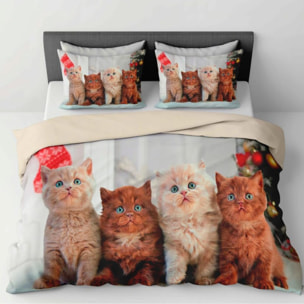 Parure Copripiumino in 100% Cotone con Federe Coordinate, Morbida e Traspirante, Certificata OEKO-TEX, Fantasie Moderne per Camera da Letto