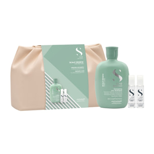 ALFAPARF MILANO Set Semi Di Lino Scalp Renew Energizing Shampoo 250ml + Lotion 24x10ml + Pochette Omaggio