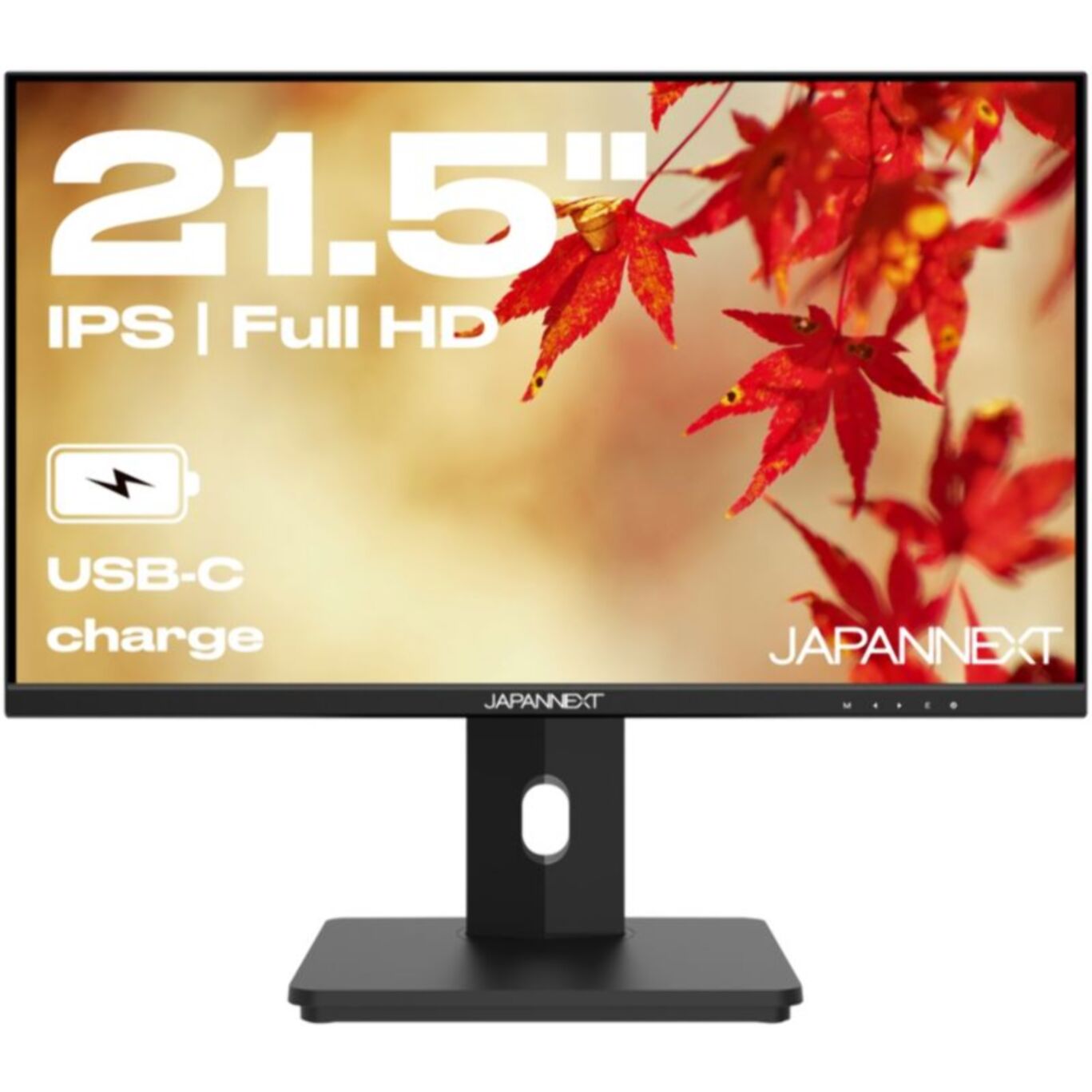 Ecran PC JAPANNEXT JN-i215FLFHSP 21,5" IPS Full HD 75Hz  HDMI - USB-C 65W KVM