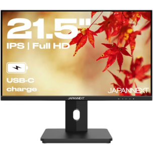 Ecran PC JAPANNEXT JN-i215FLFHSP 21,5" IPS Full HD 75Hz  HDMI - USB-C 65W KVM