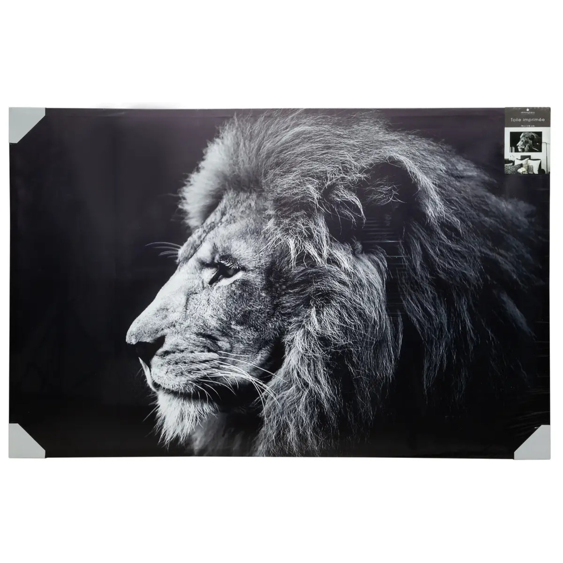 Toile imprimée "Lion" 78x118 cm