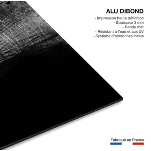 Tableau animaux elephant loxodonta africana Tableau alu Dibond