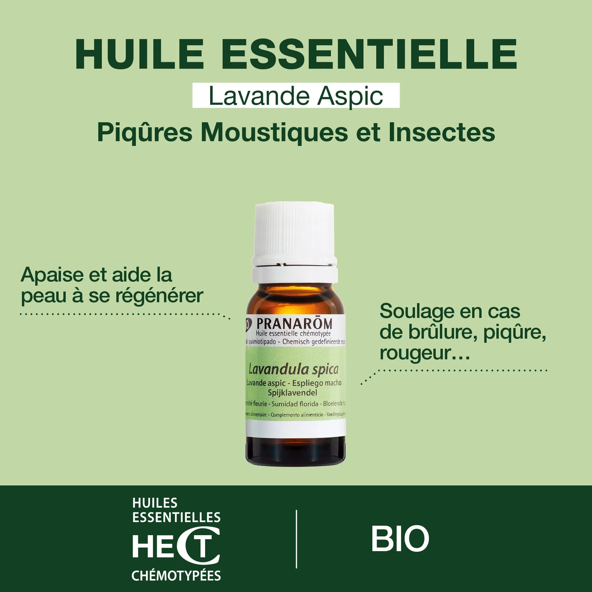 Pranarom - Huile Essentielle de Lavande aspic - Bio - 10 ml