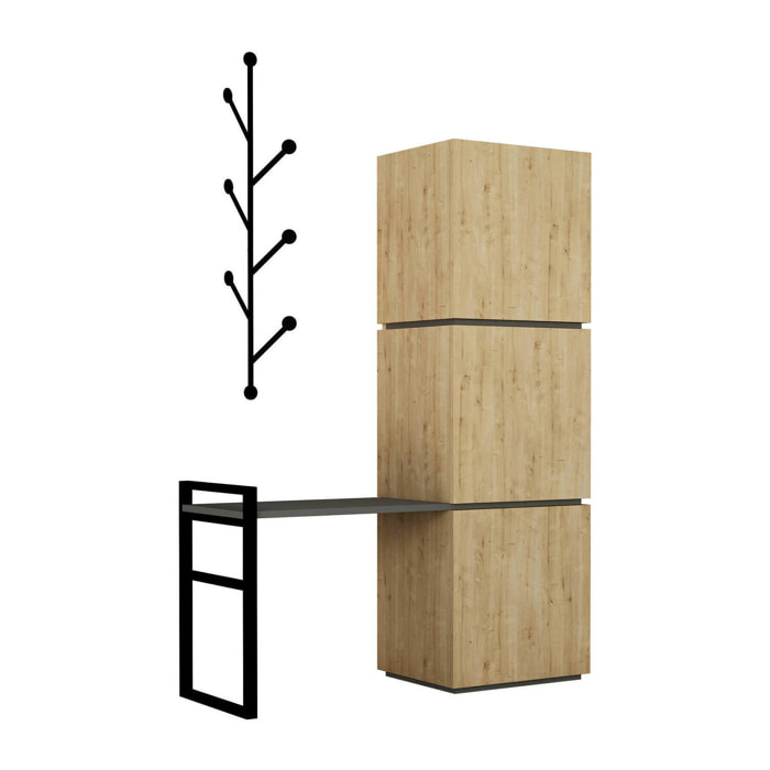 Scarpiera Akoni, Mobile portascarpe, Armadio da ingresso multiuso, Mobiletto per calzature, 109x39 h149 cm, Quercia e Antracite