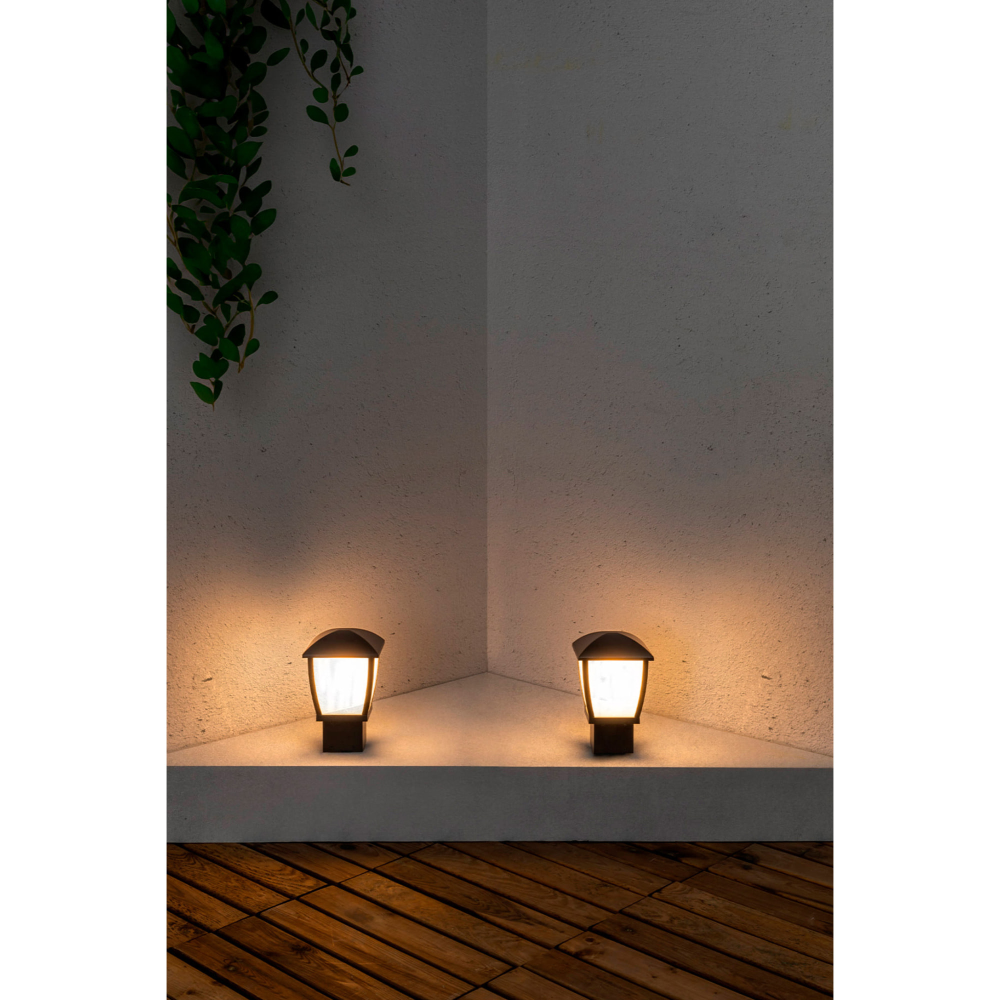 WILMA 270 Sobremuro gris oscuro